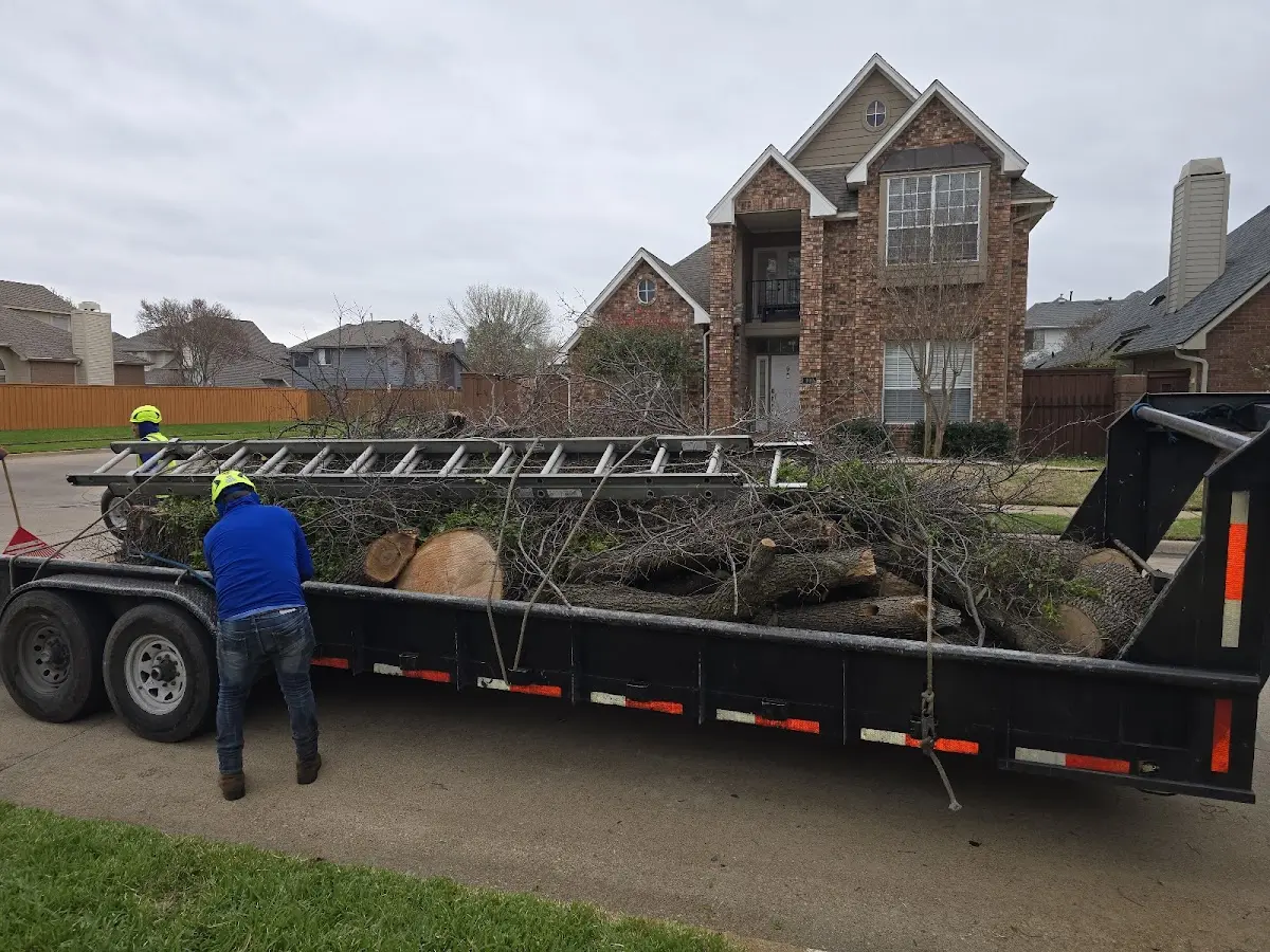 Expert Tree Fertilization with proper safety equipment in Franklinville